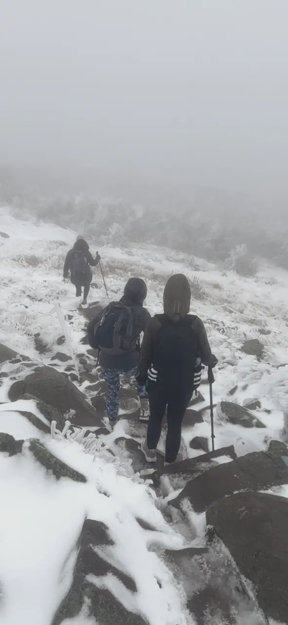 a group of people hiking on a snowy mountain