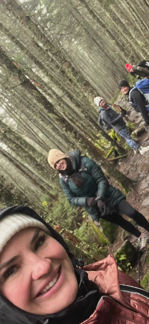 a group of people hiking in the woods